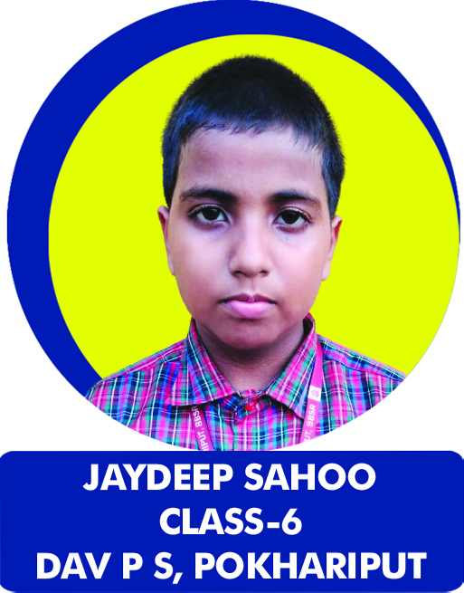 Class 6 Toppers